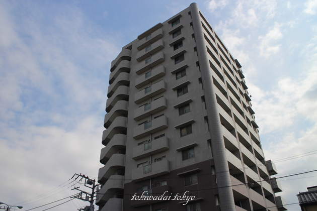 ダイアパレス常盤台（DIA PALACE TOKIWADAI）は、東武東上線「ときわ台駅」徒歩5分の場所にある地上13階建、総戸数57戸のマンションです。
