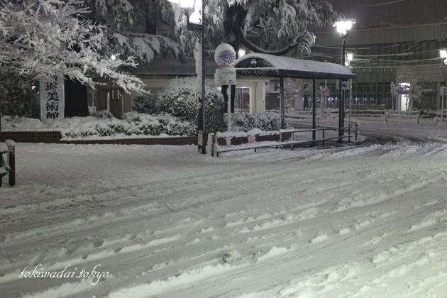 ときわ台駅の雪景色